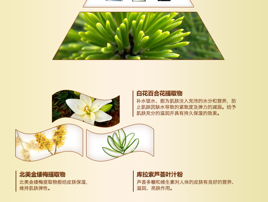 亮肤滋养水喷雾详情_05.jpg