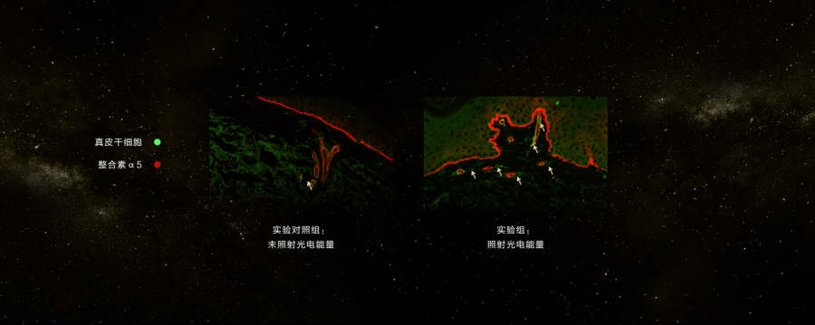 微信图片_20210114094755.png