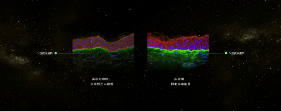 微信图片_20210114094759.png