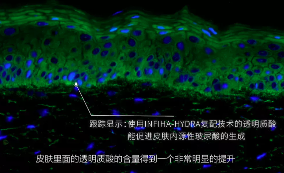 微信截图_20211223090842.png