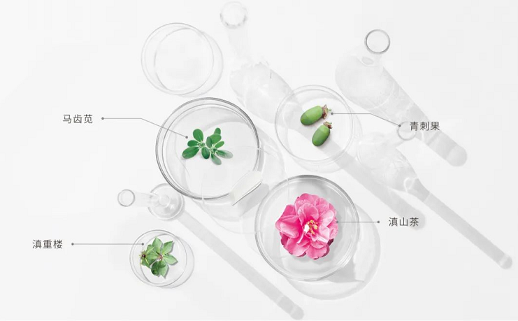微信截图_20221114103224.png