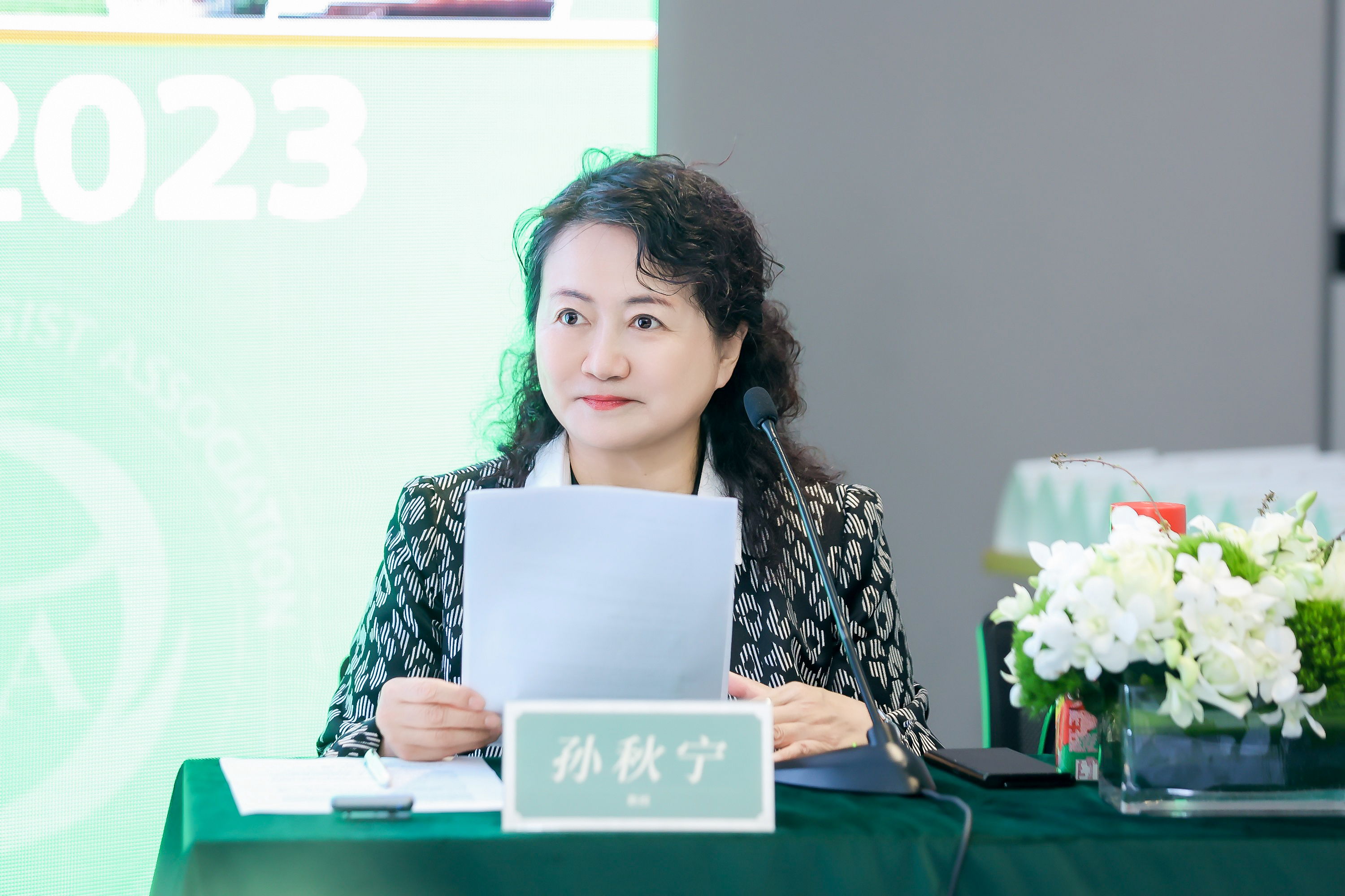 孙秋宁教授发言.jpg