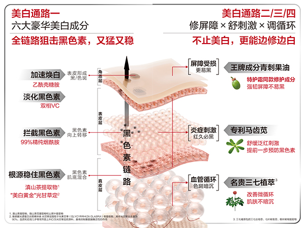 未标题-2.jpg