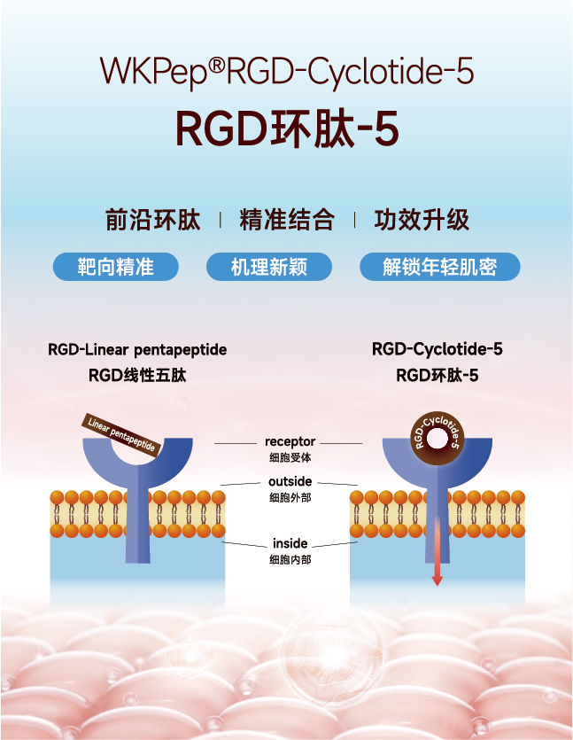 微信图片_20241017105109.jpg