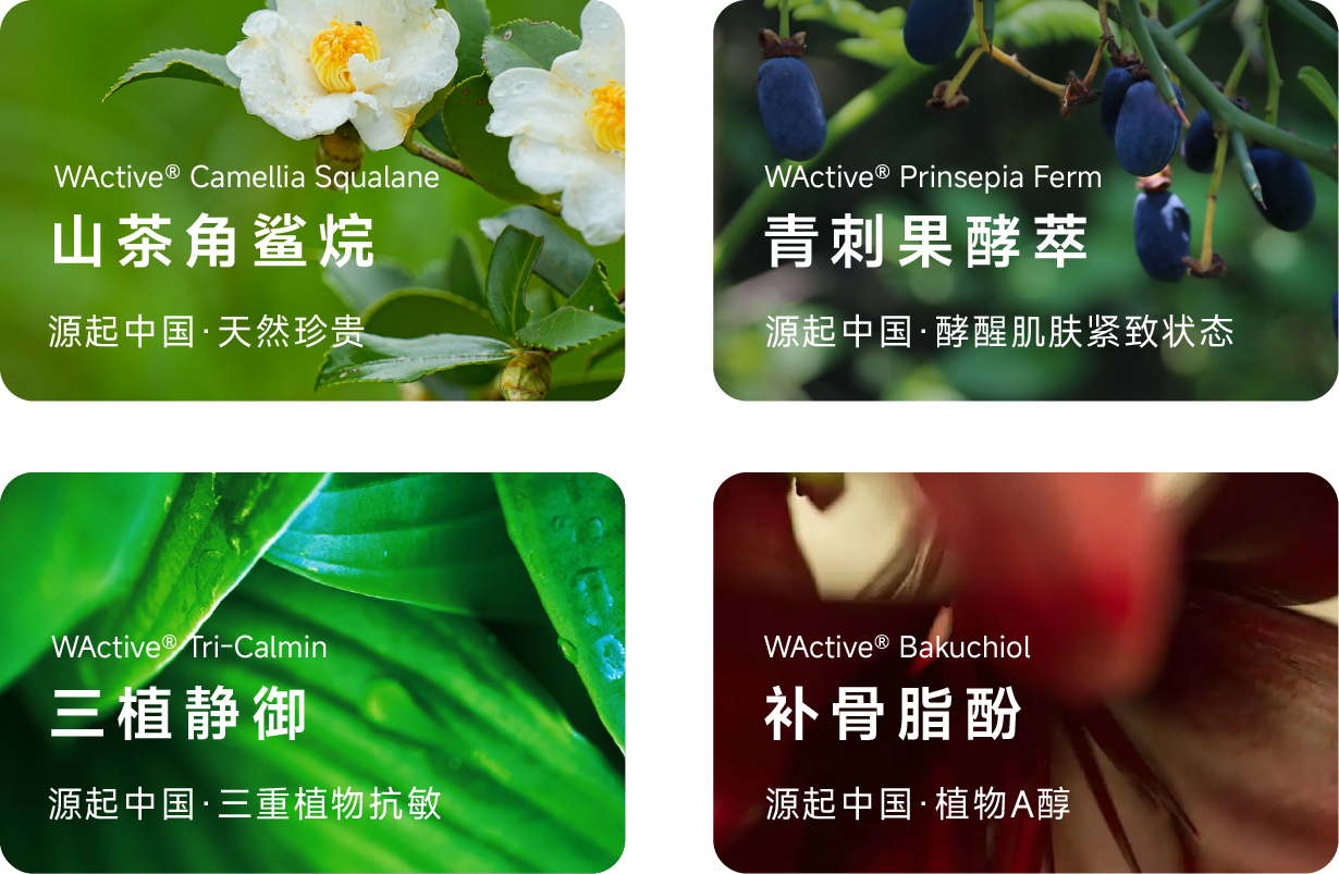 微信图片_20241017105006.png