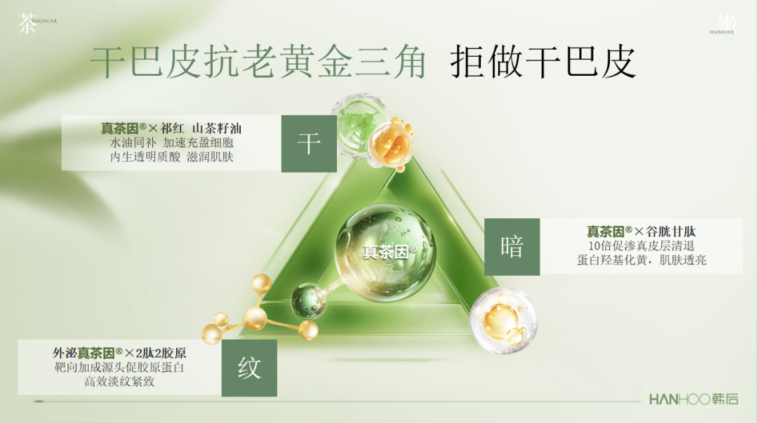 图片13.png