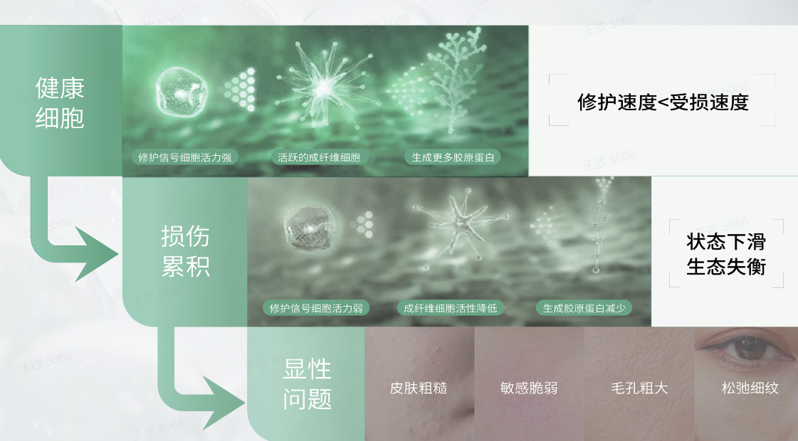 image003.png