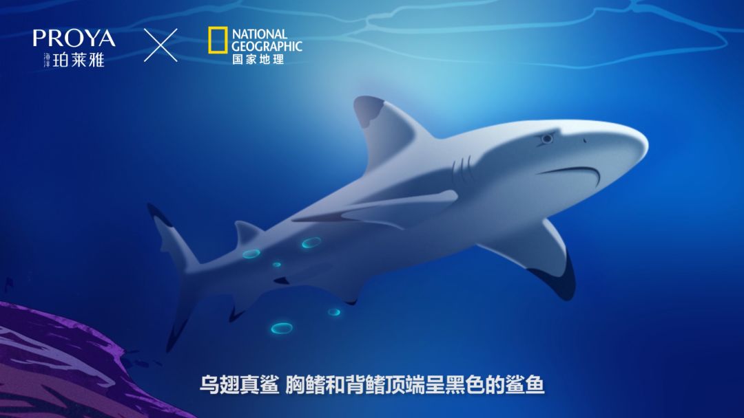 微信图片_20190823163602.jpg