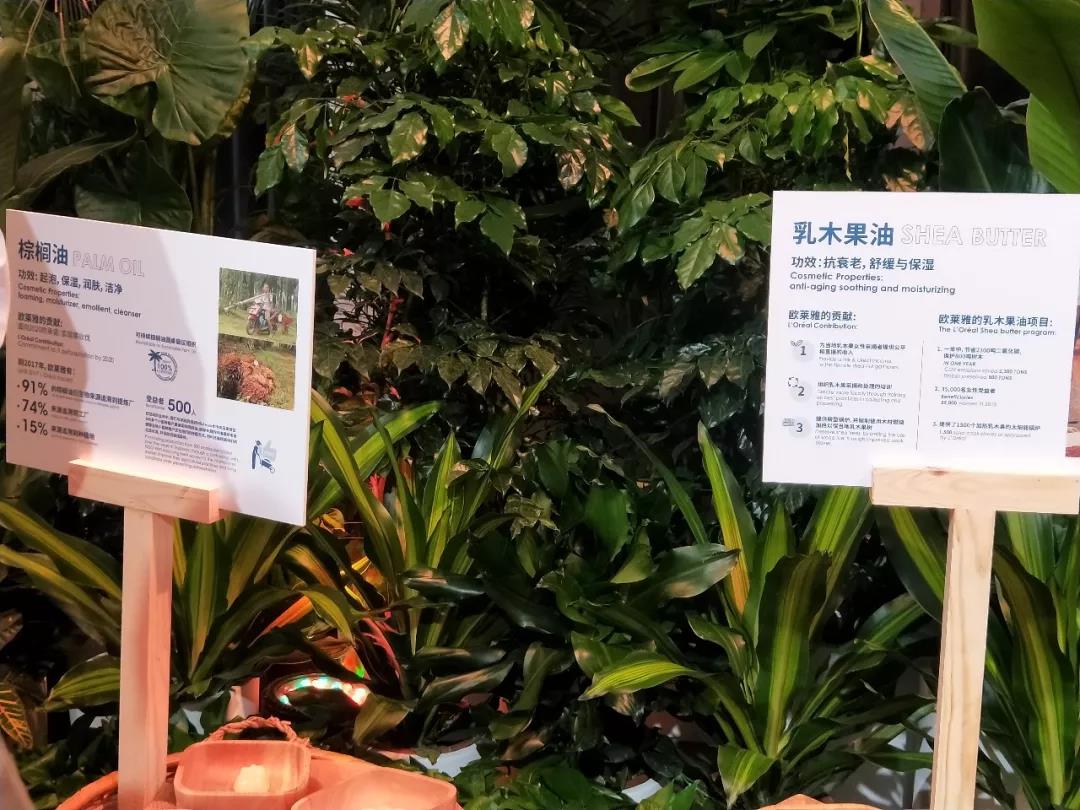 微信图片_20190902172555.jpg