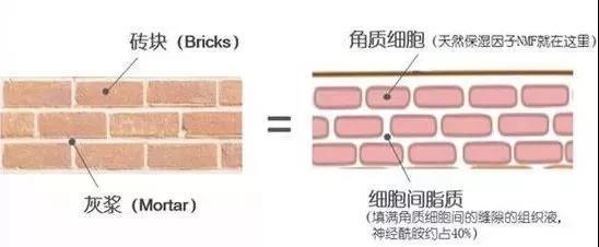 微信图片_20190903102743.jpg