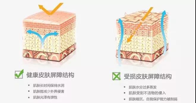 微信图片_20190903102747.jpg