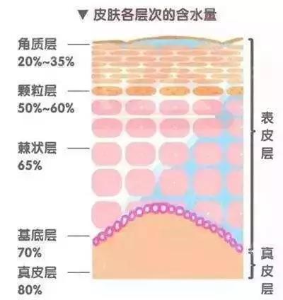 微信图片_20190904113116.jpg