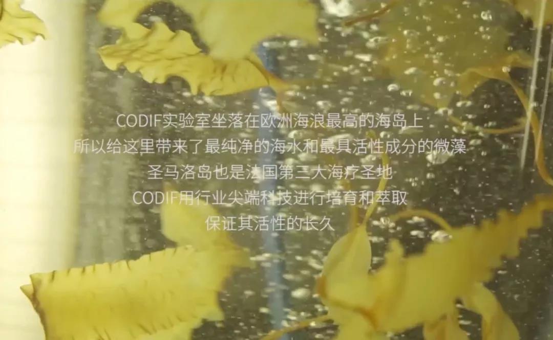 微信图片_20190906154214.jpg