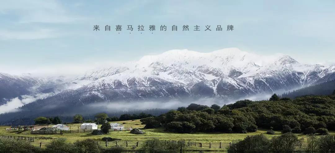微信图片_20191104154516.jpg