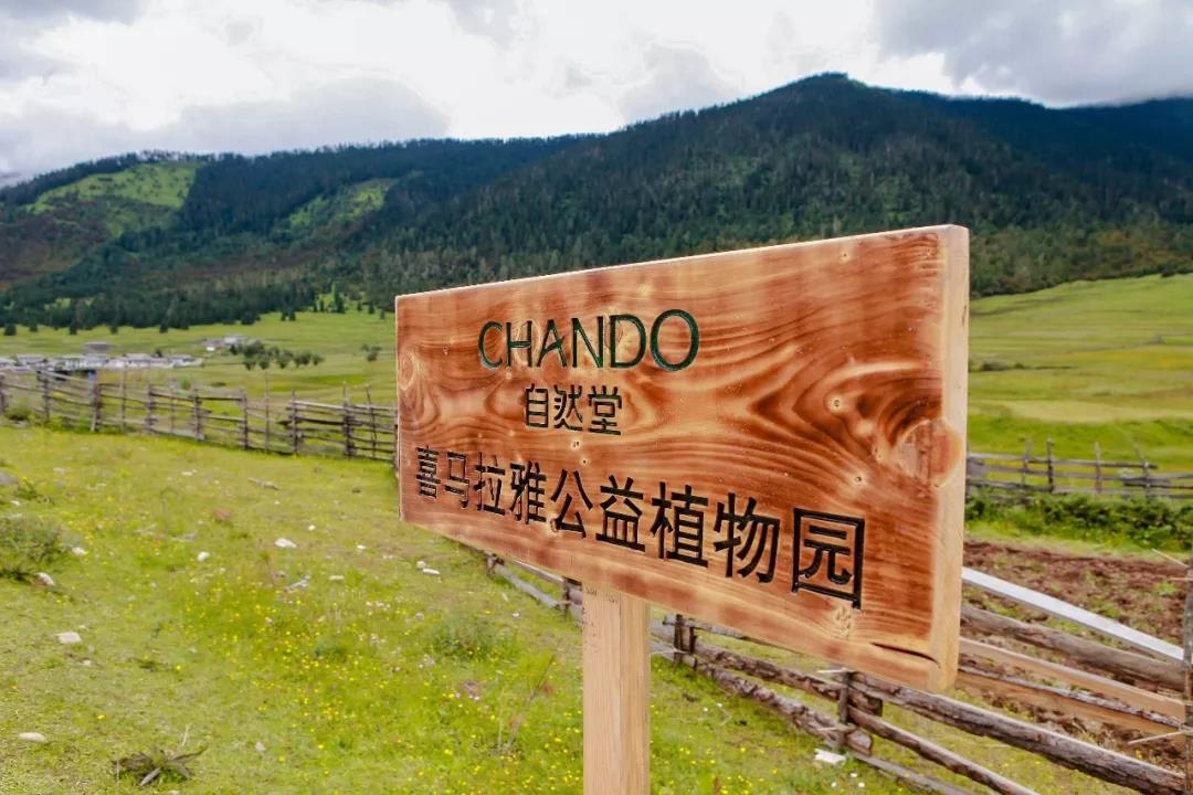 微信图片_20191202125601.jpg