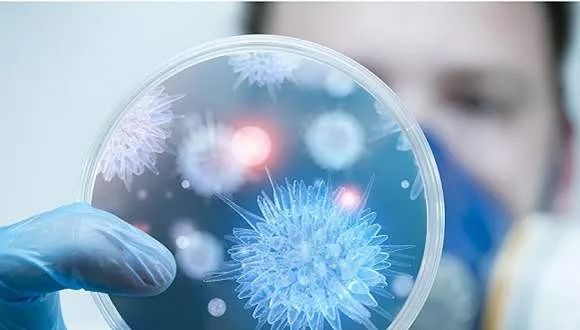 5e8584d922b8e.jpeg 640-4.jpeg