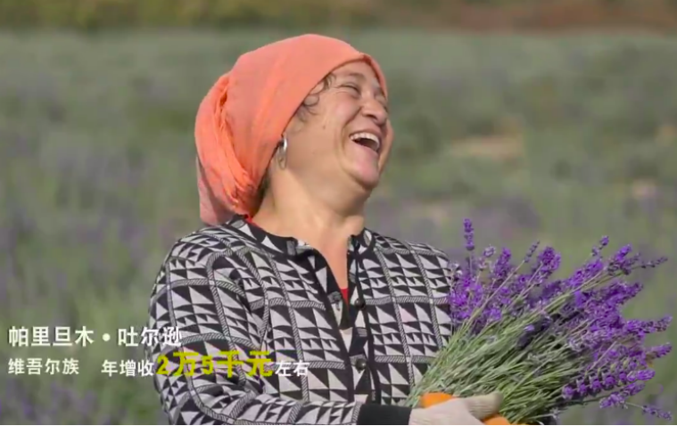 图片13.png