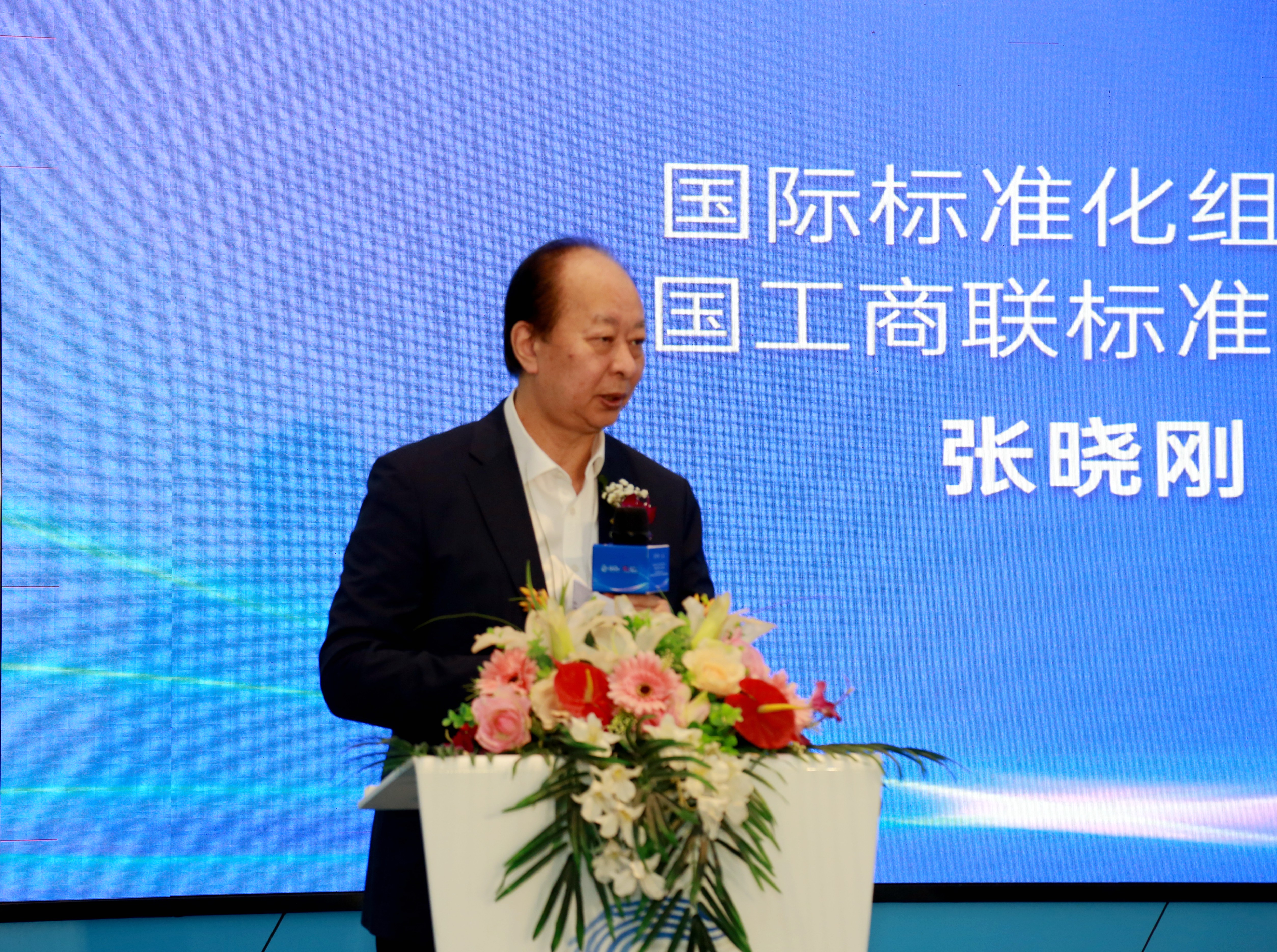 张晓刚主席.jpg