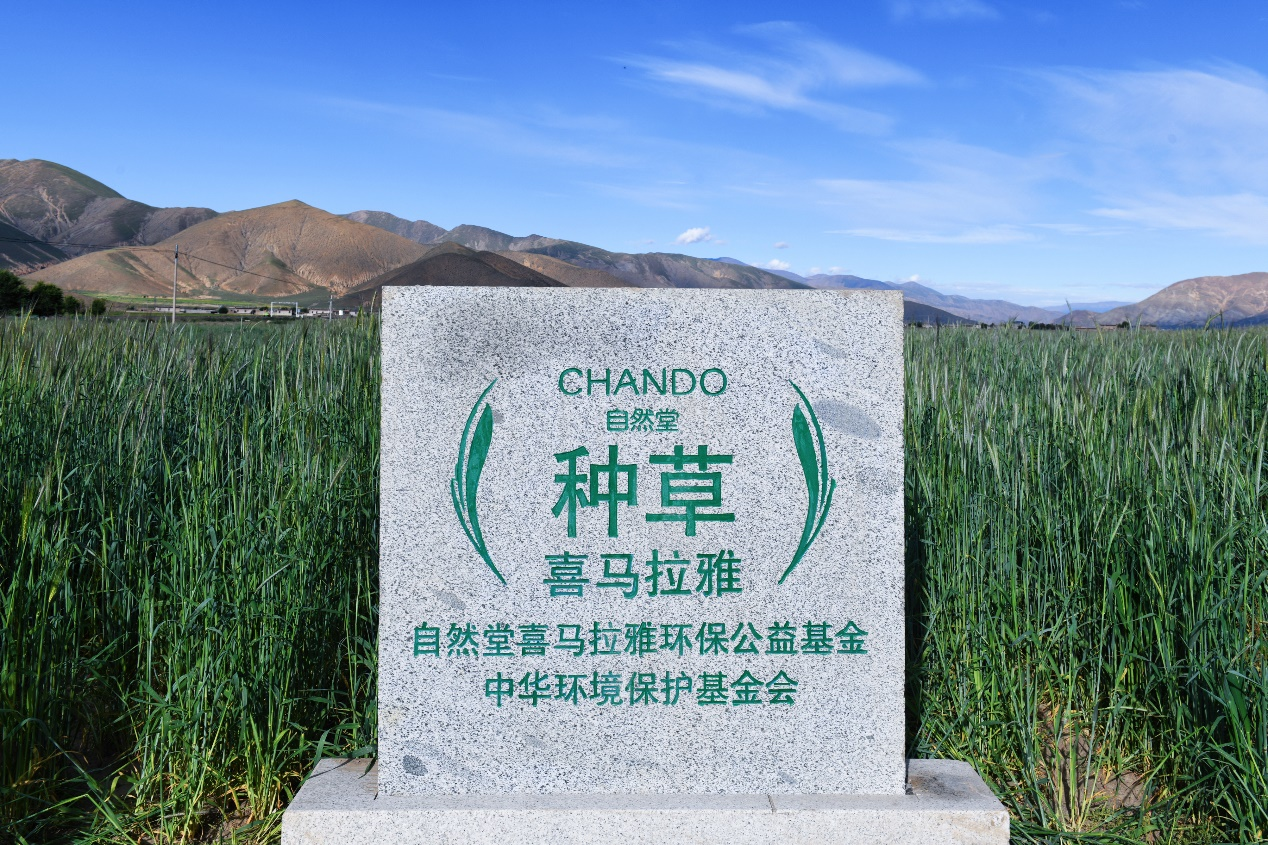 图片14.png
