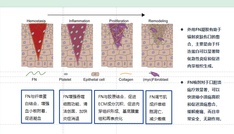 图3.png